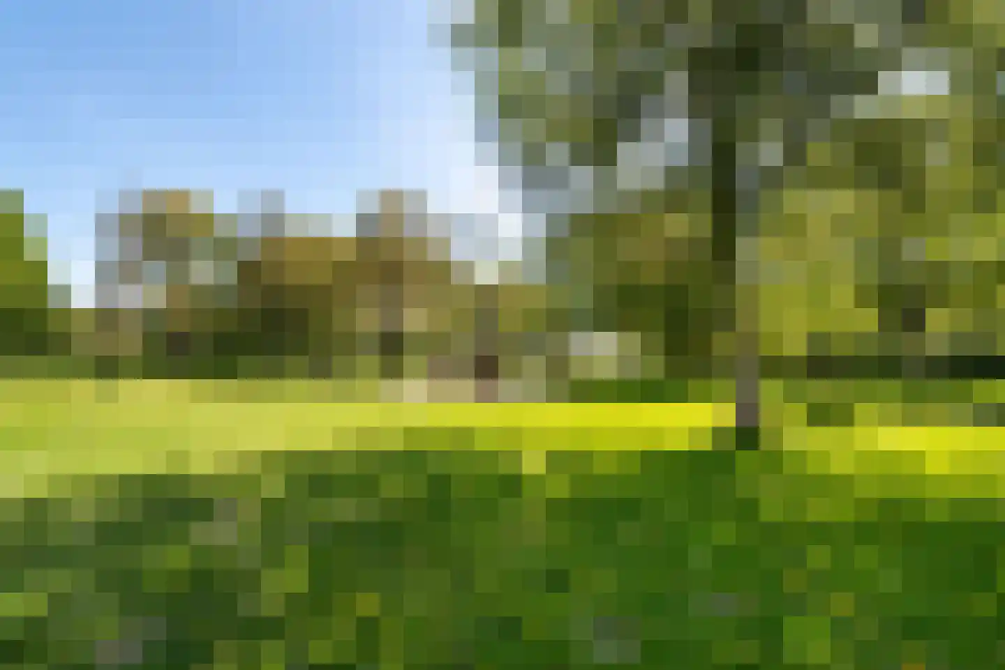 Vogelwaarde 62 Haarlem thumbnail 36