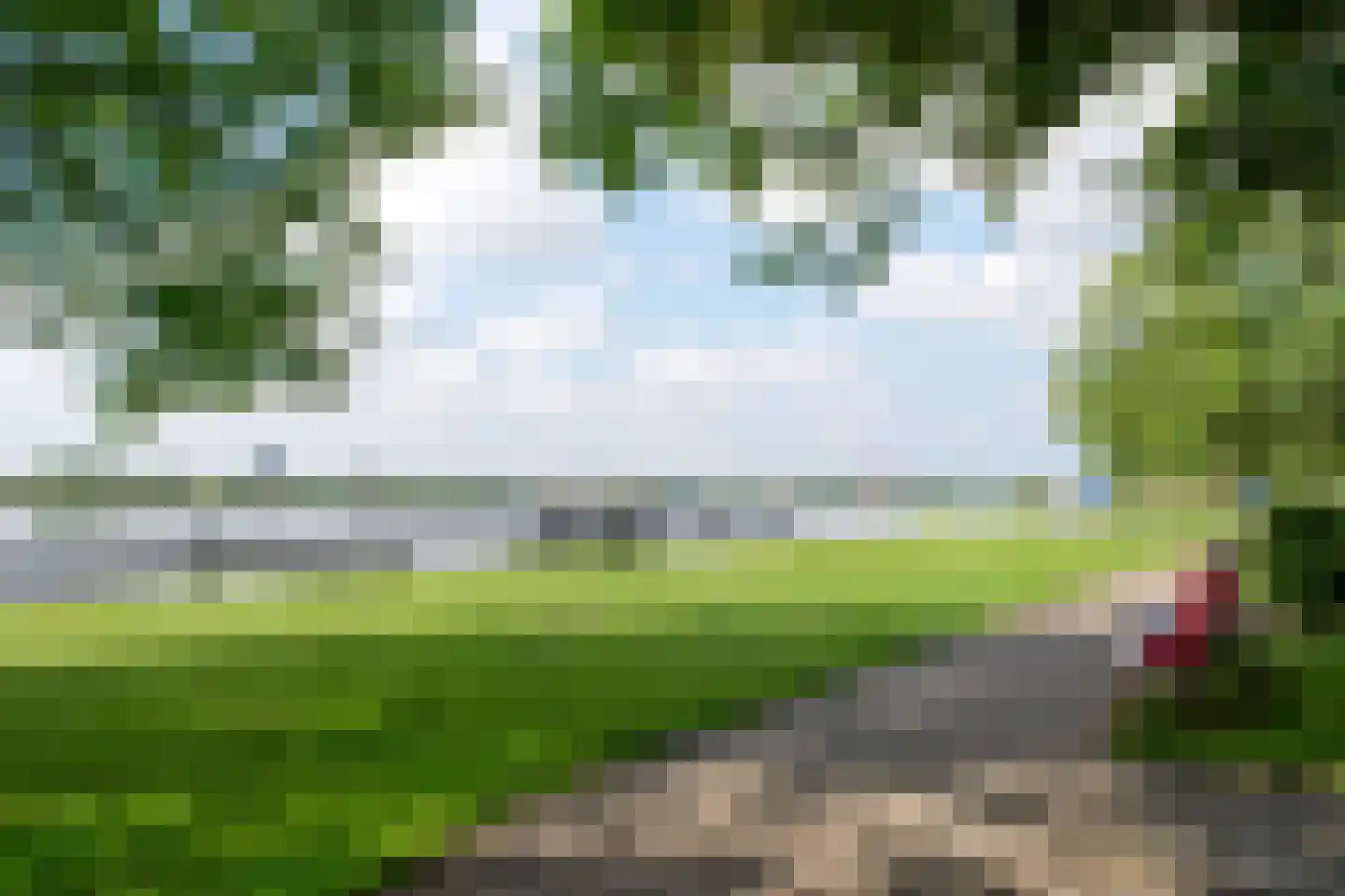Vogelwaarde 62 Haarlem thumbnail 37