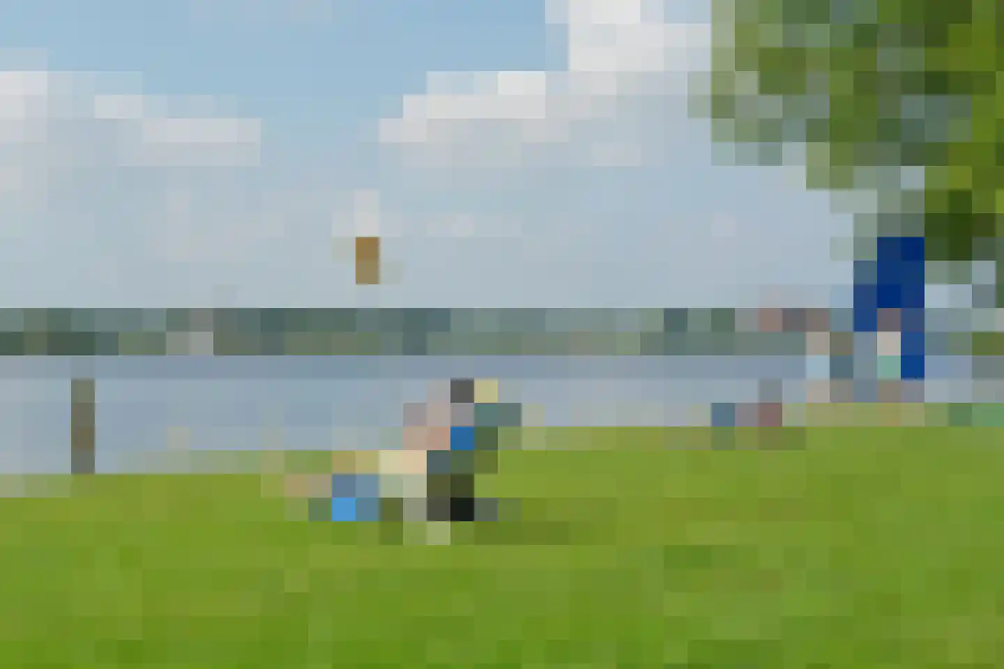 Vogelwaarde 62 Haarlem thumbnail 38
