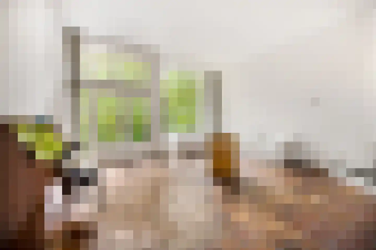 Vogelwaarde 62 Haarlem thumbnail 5