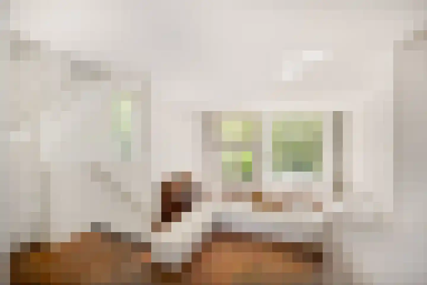 Vogelwaarde 62 Haarlem thumbnail 6