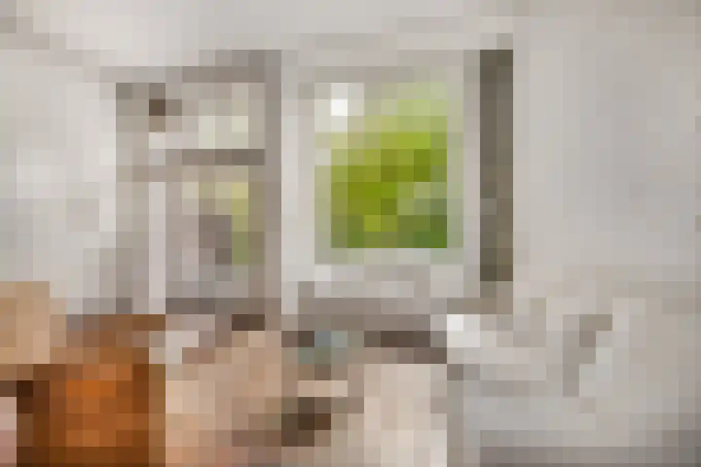 Vogelwaarde 62 Haarlem thumbnail 8