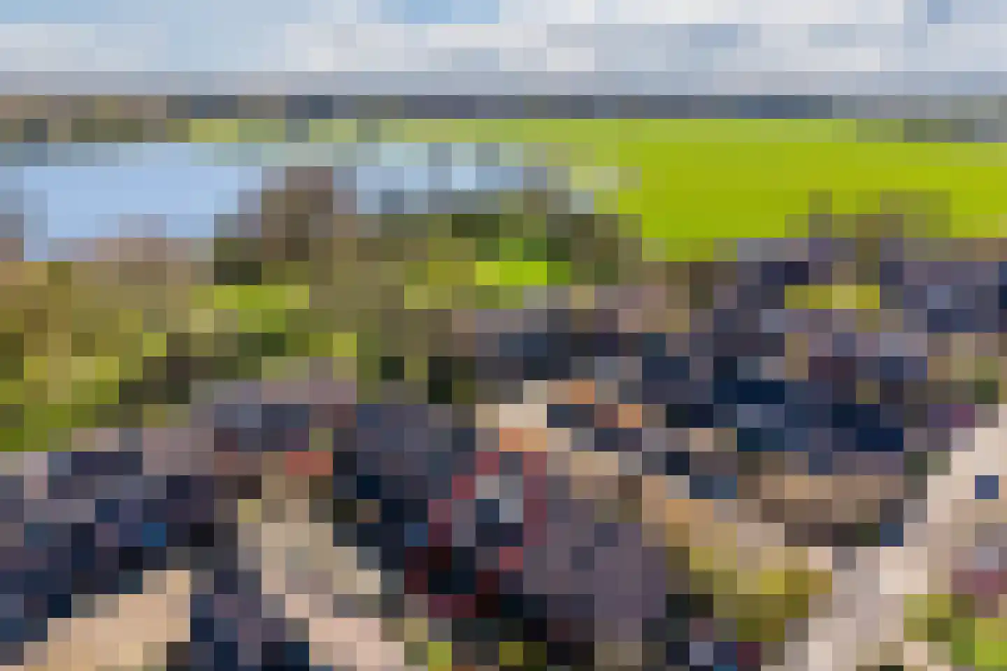 Vogelwaarde 65 in Haarlem