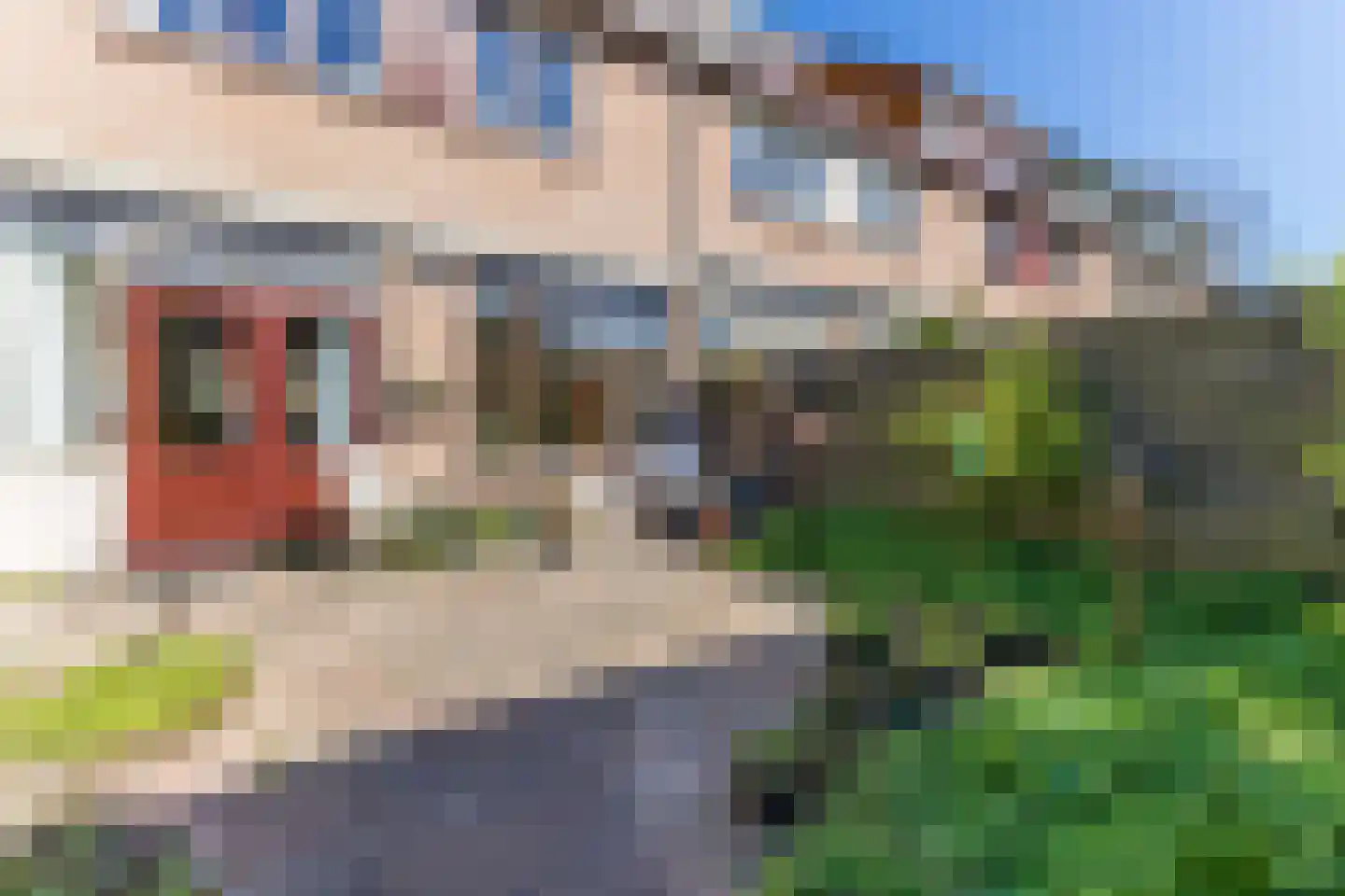 Vogelwaarde 65 Haarlem thumbnail 13