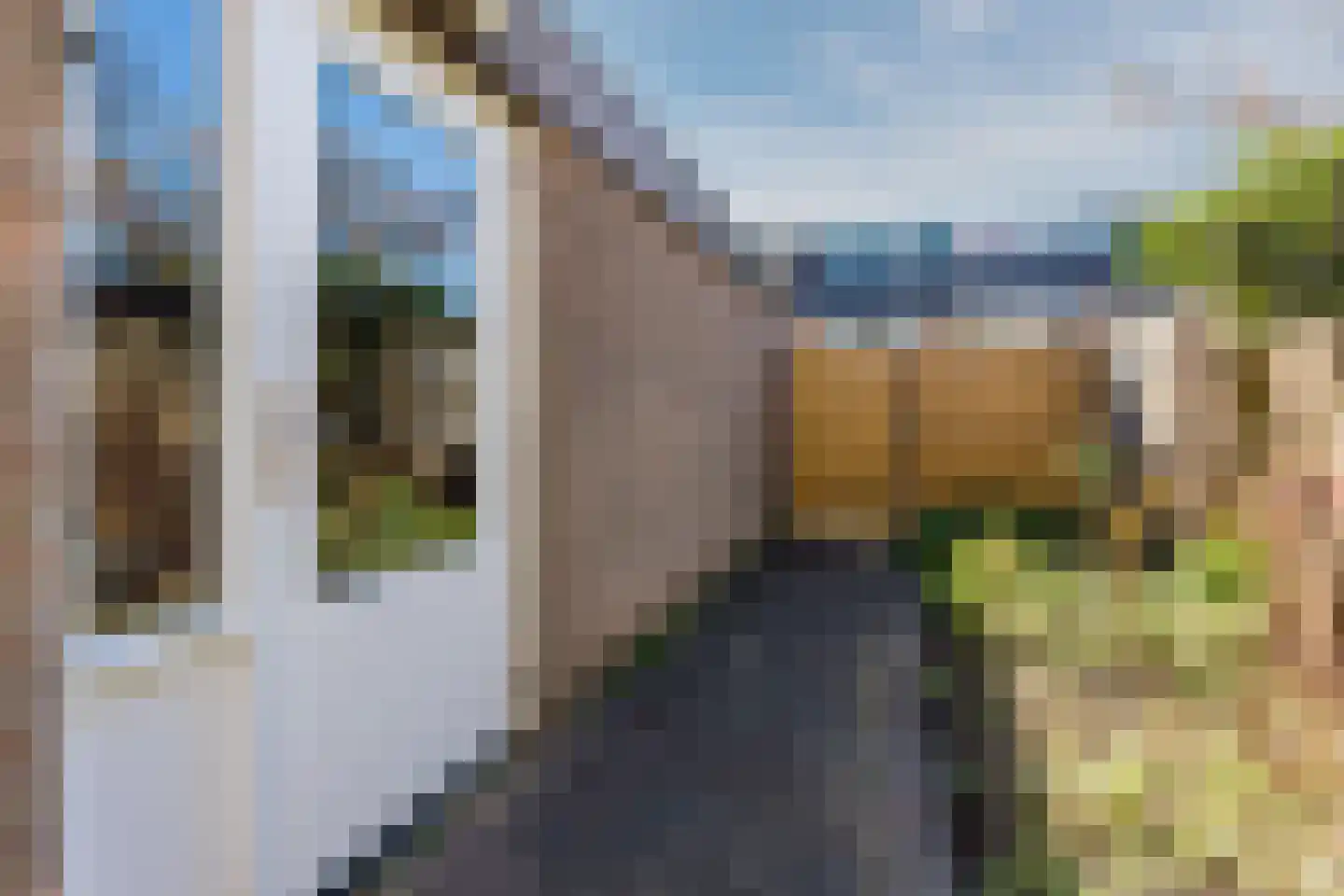 Vogelwaarde 65 Haarlem thumbnail 14