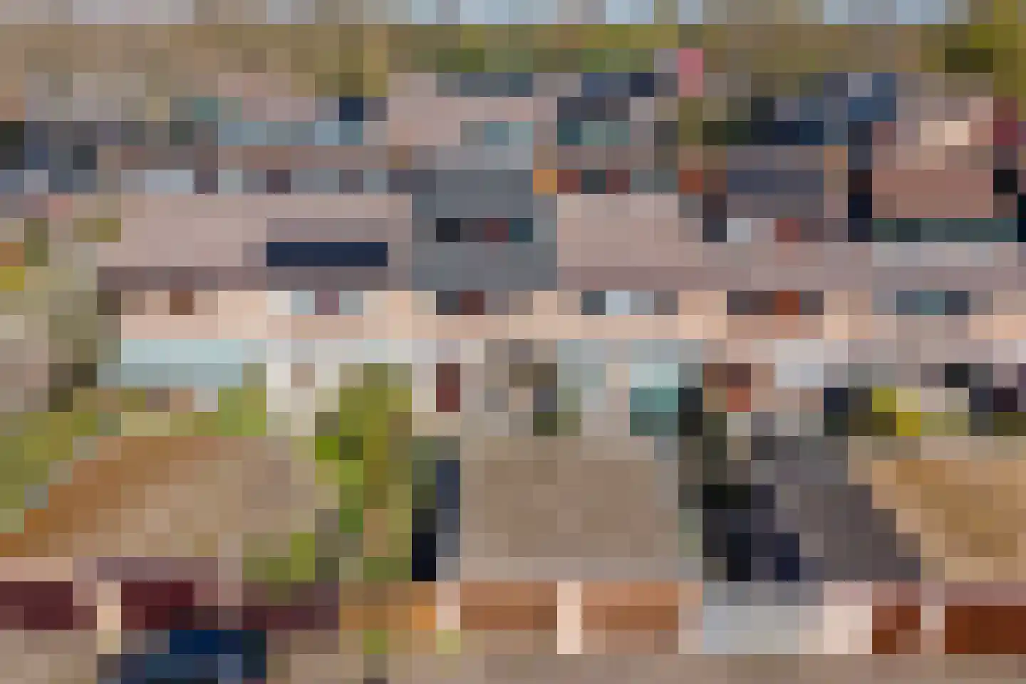 Vogelwaarde 65 Haarlem thumbnail 16