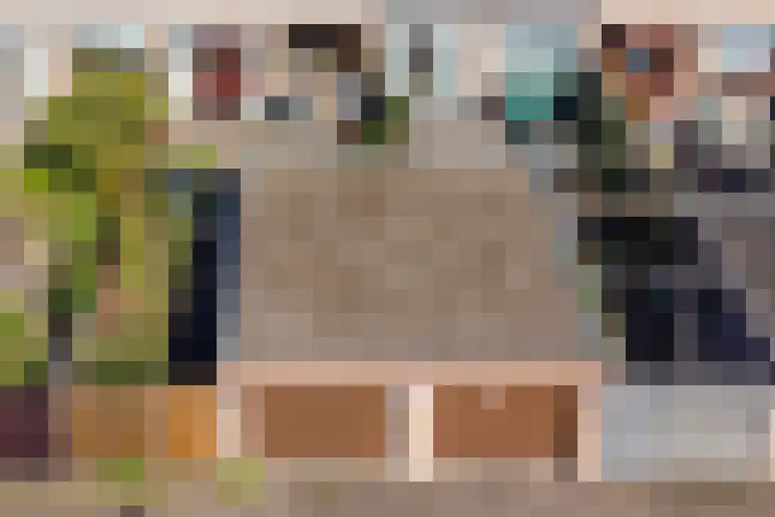 Vogelwaarde 65 Haarlem thumbnail 17