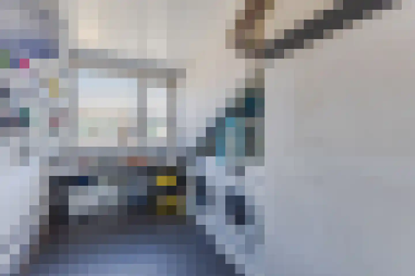 Vogelwaarde 65 Haarlem thumbnail 34