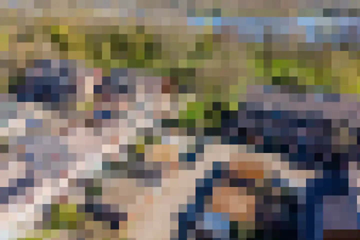 Vogelwaarde 65 Haarlem thumbnail 36