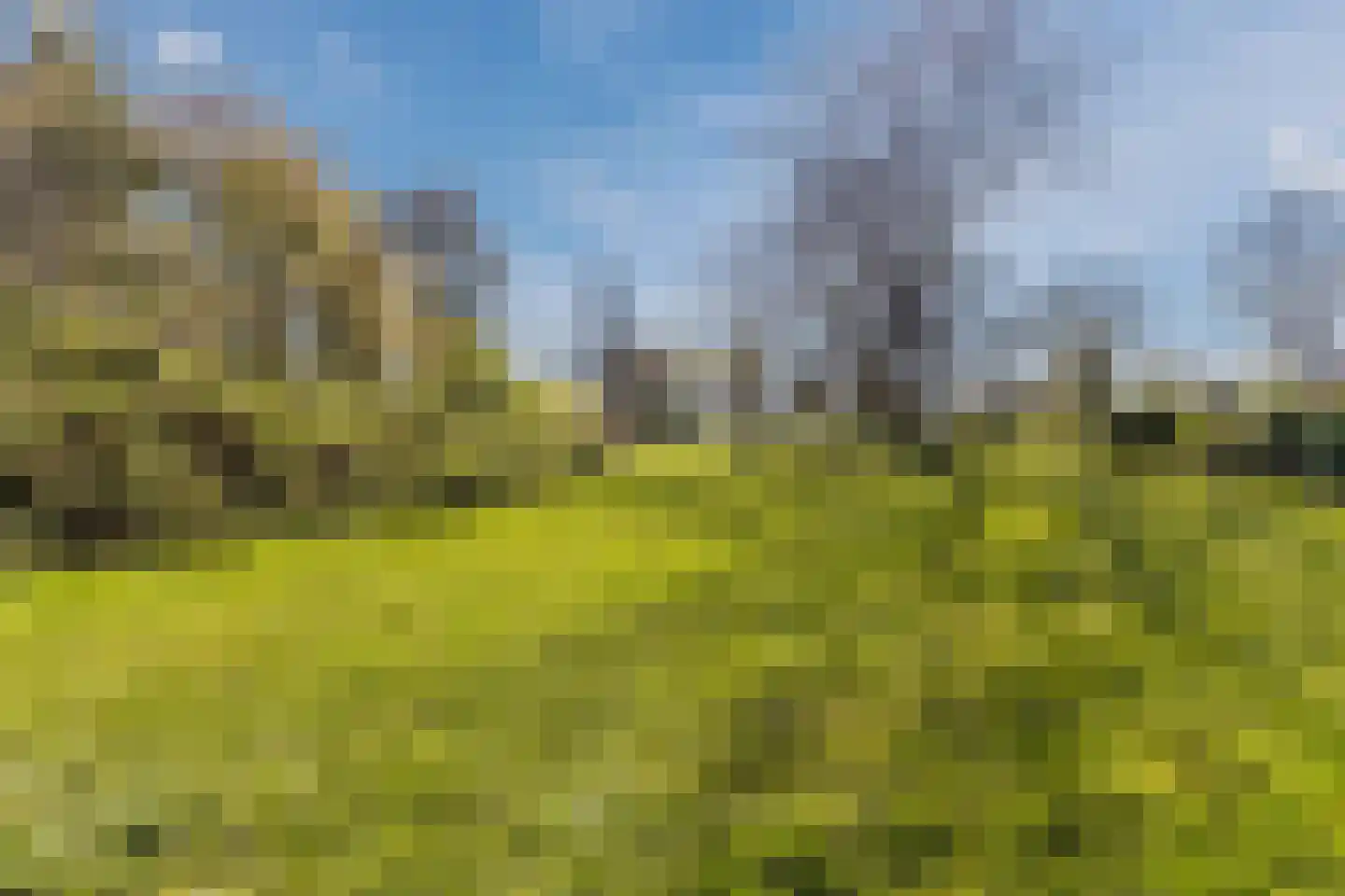 Vogelwaarde 65 Haarlem thumbnail 43