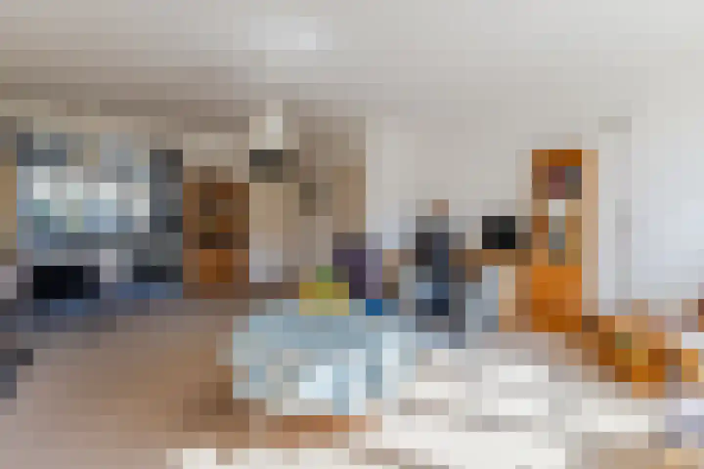 Vogelwaarde 65 Haarlem thumbnail 7