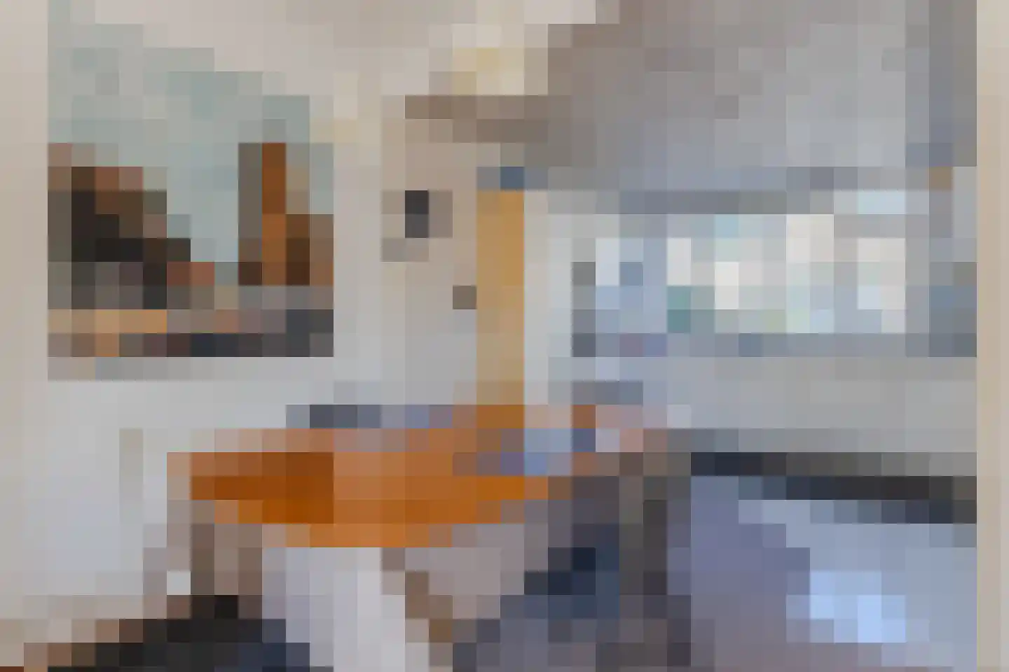 Vogelwaarde 65 Haarlem thumbnail 8