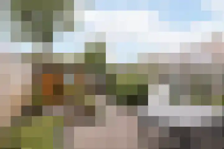 Vogelweg 104 Alkmaar thumbnail 30