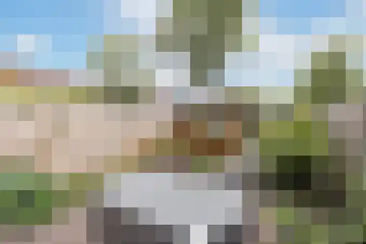 Vogelweg 104 Alkmaar thumbnail 31