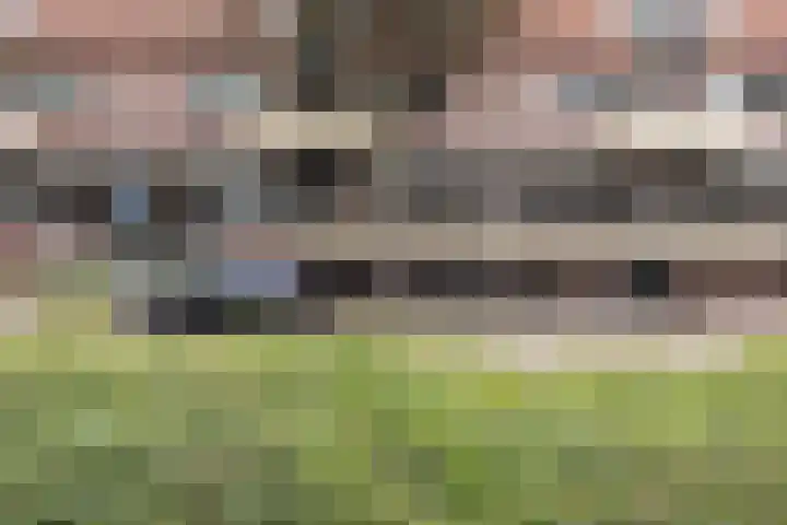 Vogelweg 104 Alkmaar thumbnail 4