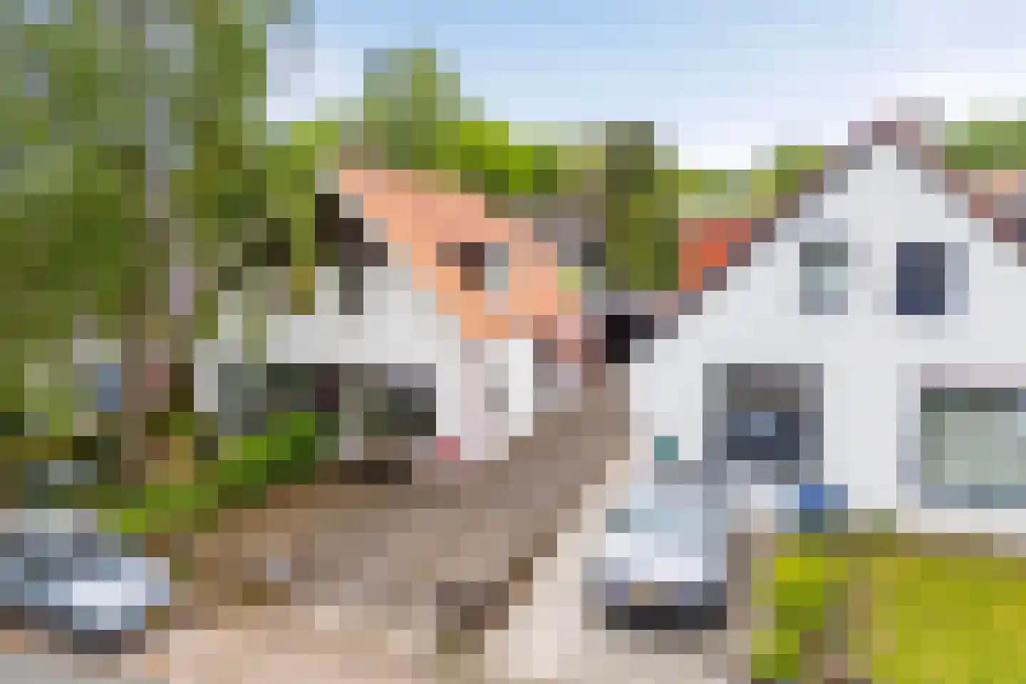 Vogelweg 11 Oosterbeek thumbnail 25