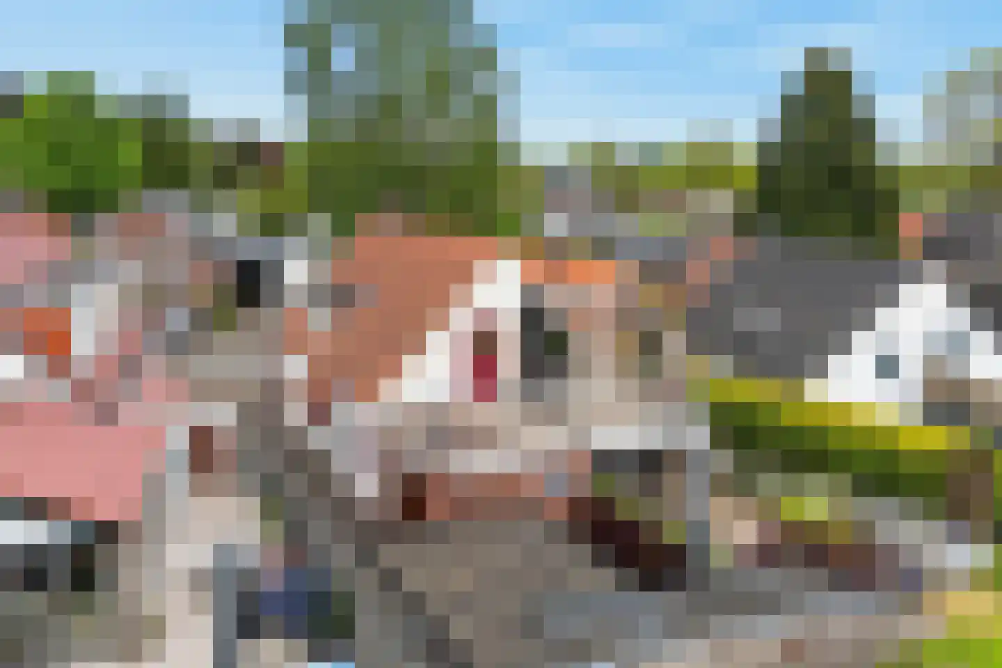 Vogelweg 11 Oosterbeek thumbnail 26