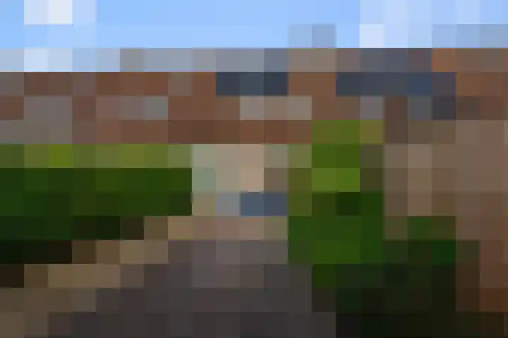 Vogelweg 115 Alkmaar thumbnail 26
