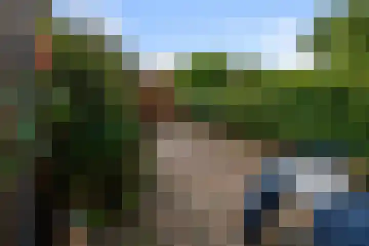 Vogelweg 115 Alkmaar thumbnail 27