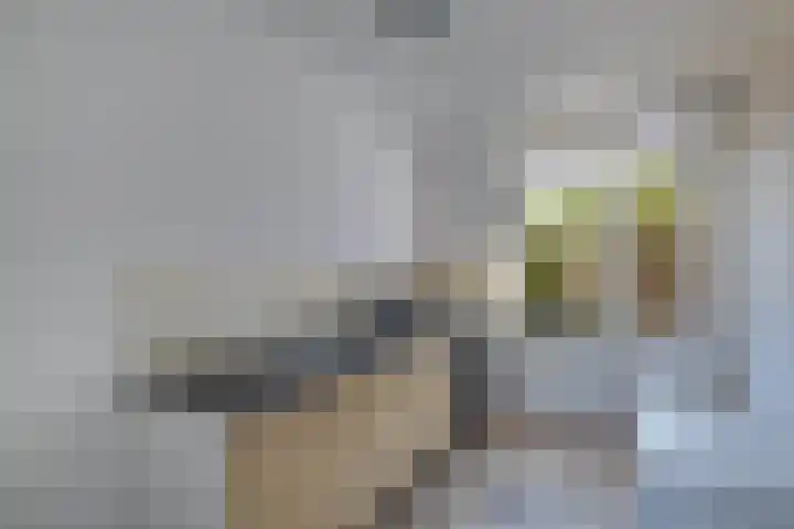 Vogelweg 121 Alkmaar thumbnail 11