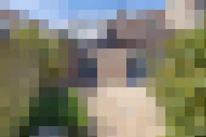 Vogelweg 121 Alkmaar thumbnail 16