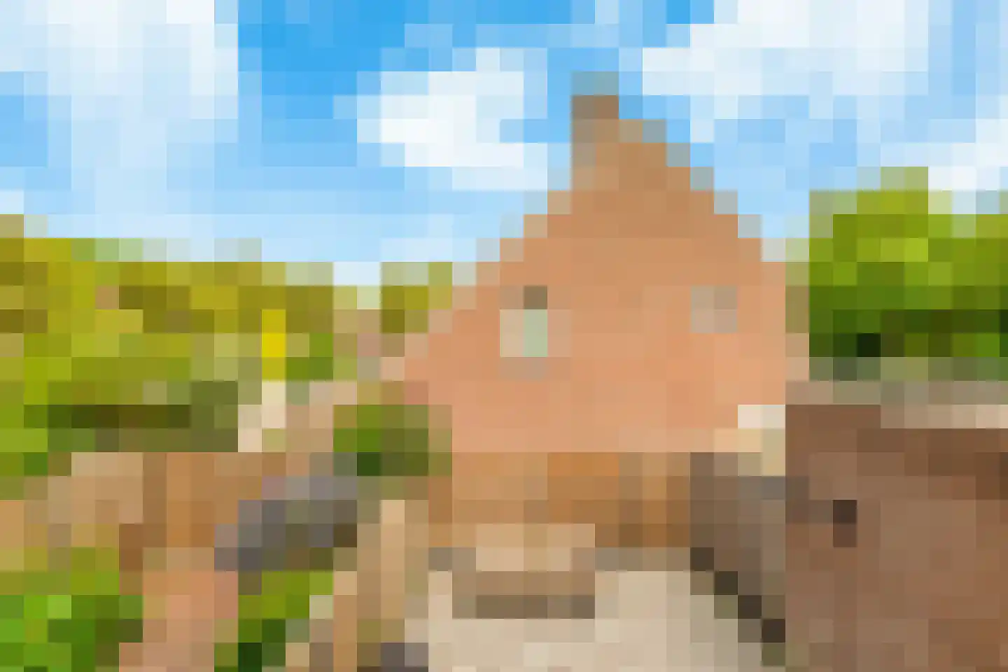 Vogelweg 126 Alkmaar thumbnail 47
