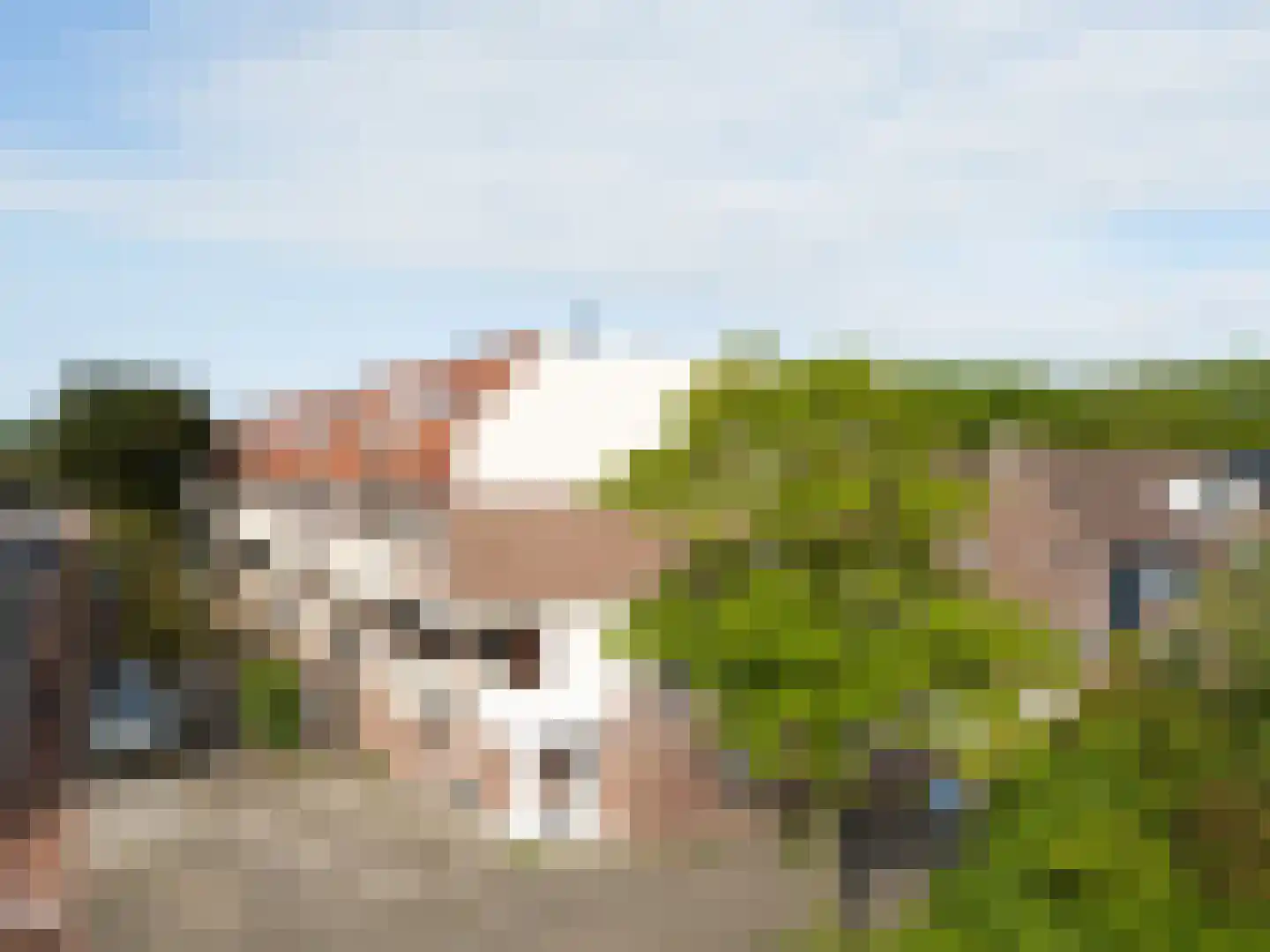 Vogelweg 126 Alkmaar thumbnail 54