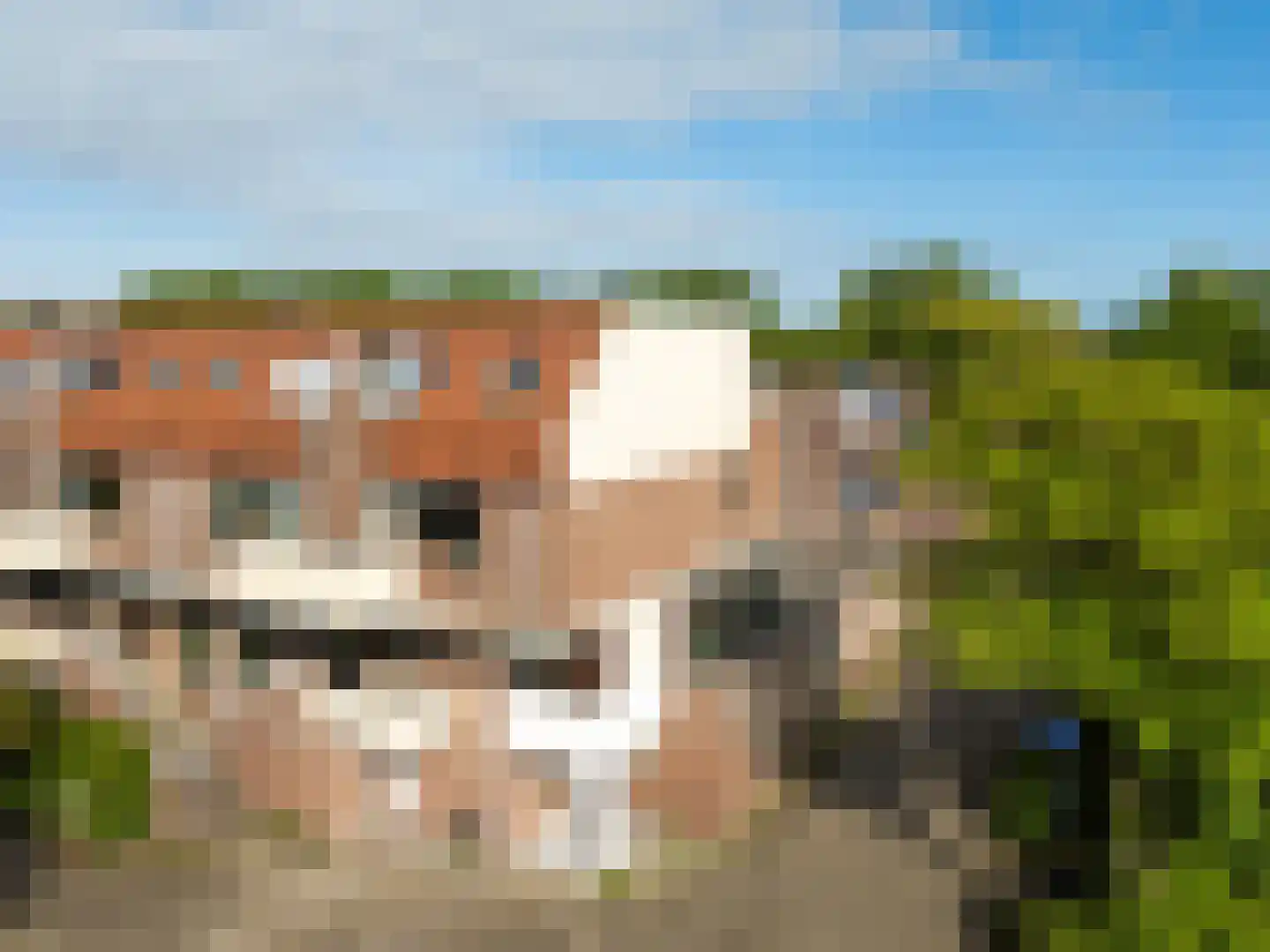 Vogelweg 126 Alkmaar thumbnail 55