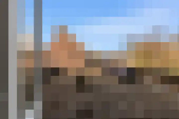 Vogelweg 128 Alkmaar thumbnail 15