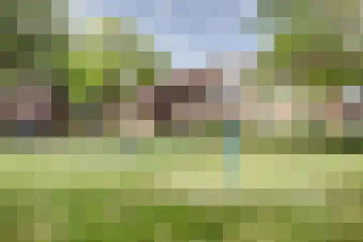 Vogelweg 131 Alkmaar thumbnail 39