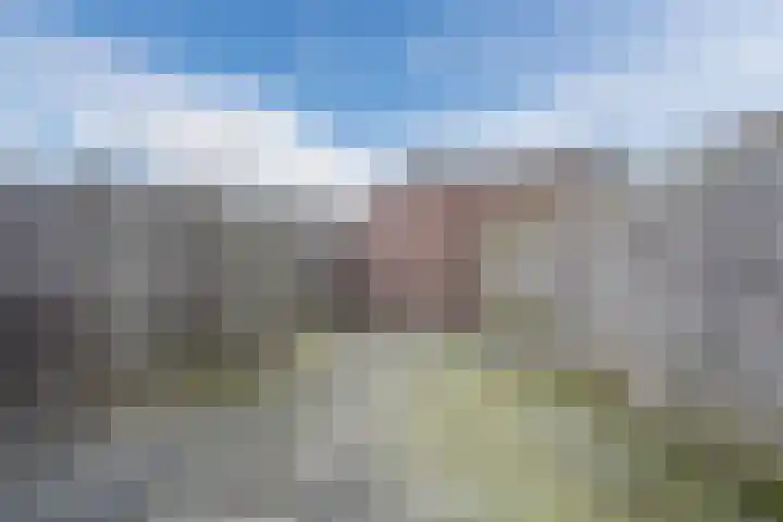 Vogelweg 147 Alkmaar thumbnail 42