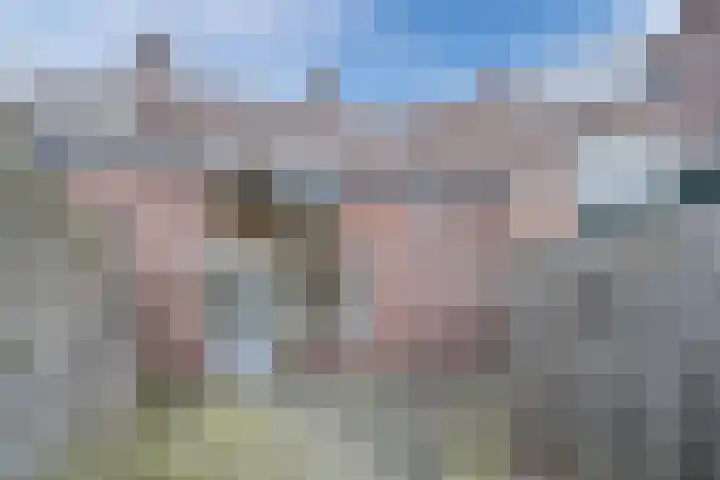 Vogelweg 147 Alkmaar thumbnail 45