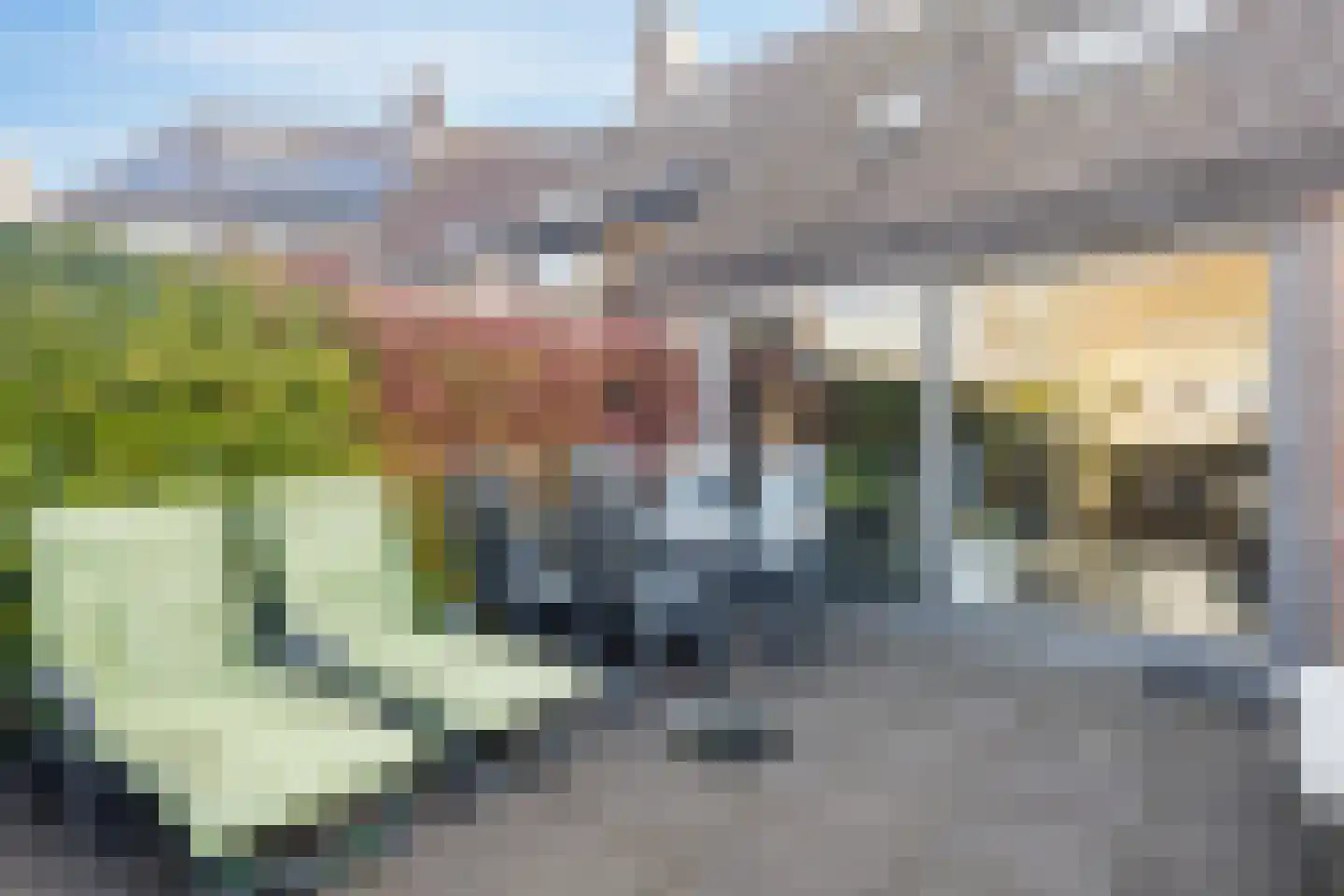 Vogelweg 174 Alkmaar thumbnail 14