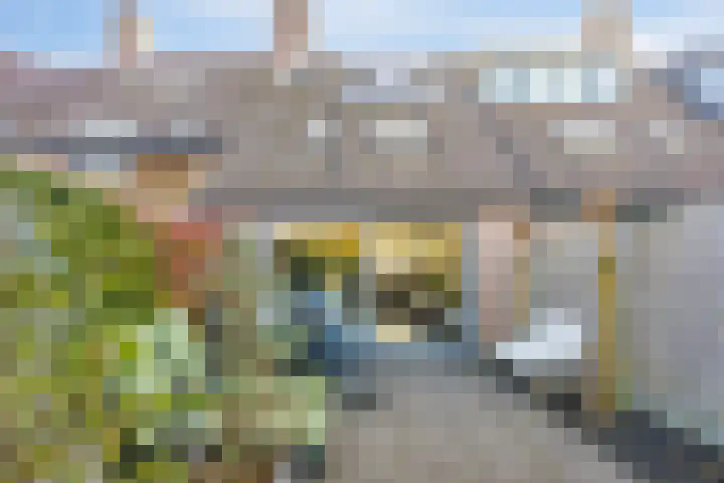 Vogelweg 174 Alkmaar thumbnail 15
