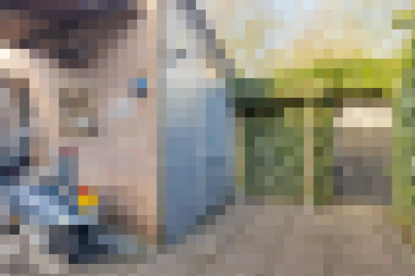 Vogelweg 174 Alkmaar thumbnail 17