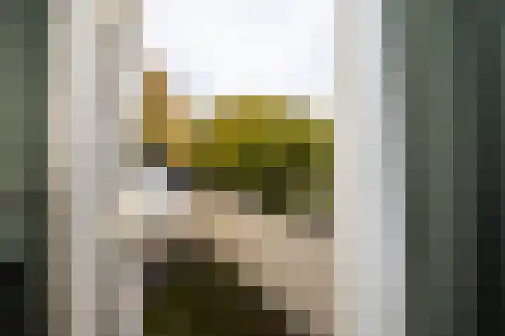 Vogelweg 20 Alkmaar thumbnail 16
