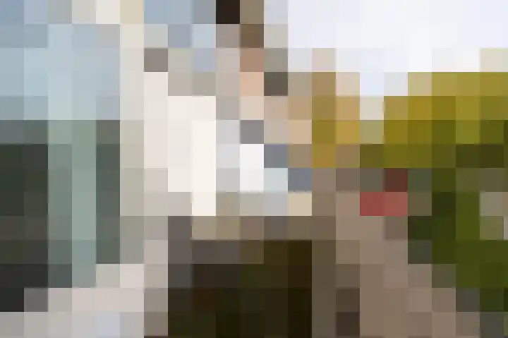 Vogelweg 20 Alkmaar thumbnail 17