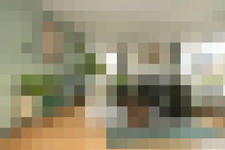 Vogelweg 20 Alkmaar thumbnail 7