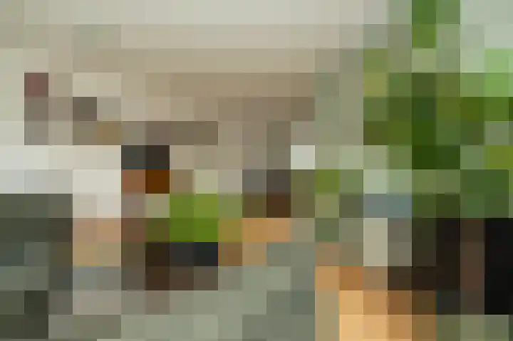 Vogelweg 20 Alkmaar thumbnail 8