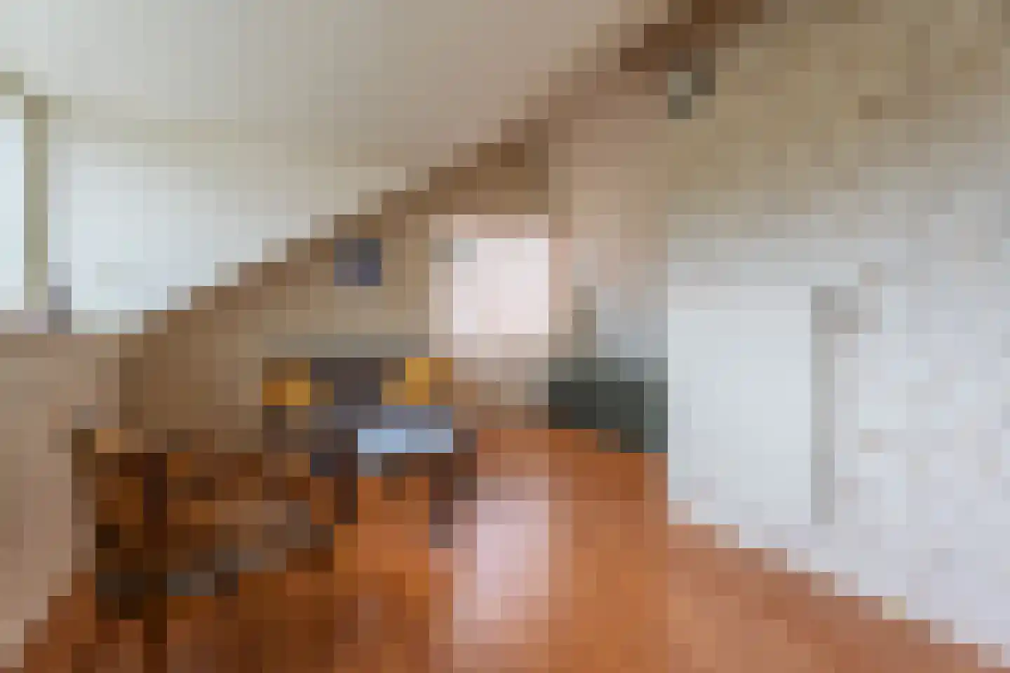 Vogelwei 1 Katwijk thumbnail 22