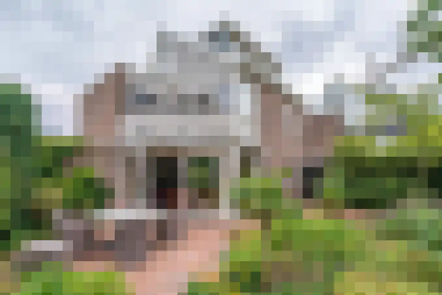 Vogelwei 1 Katwijk thumbnail 24