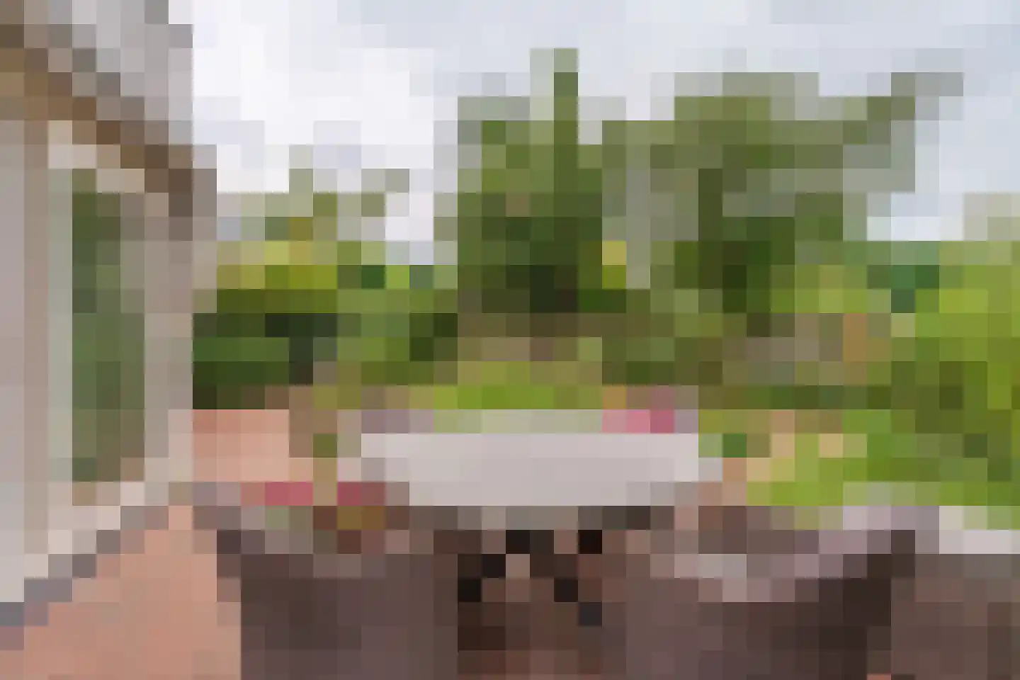 Vogelwei 1 Katwijk thumbnail 25