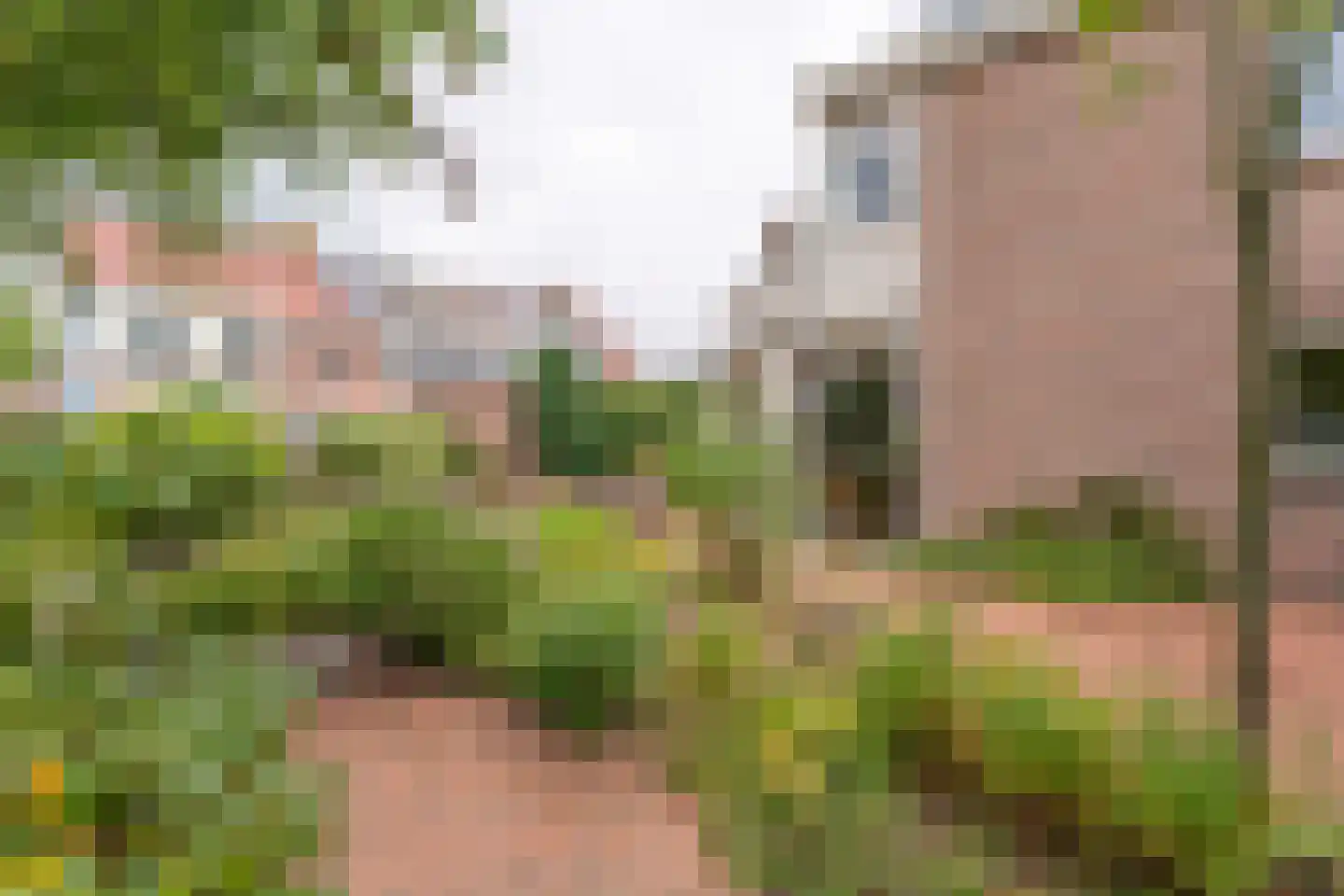 Vogelwei 1 Katwijk thumbnail 26