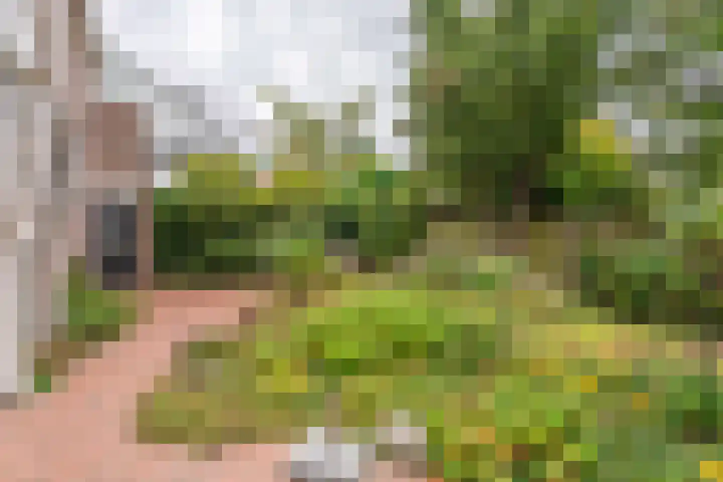 Vogelwei 1 Katwijk thumbnail 27