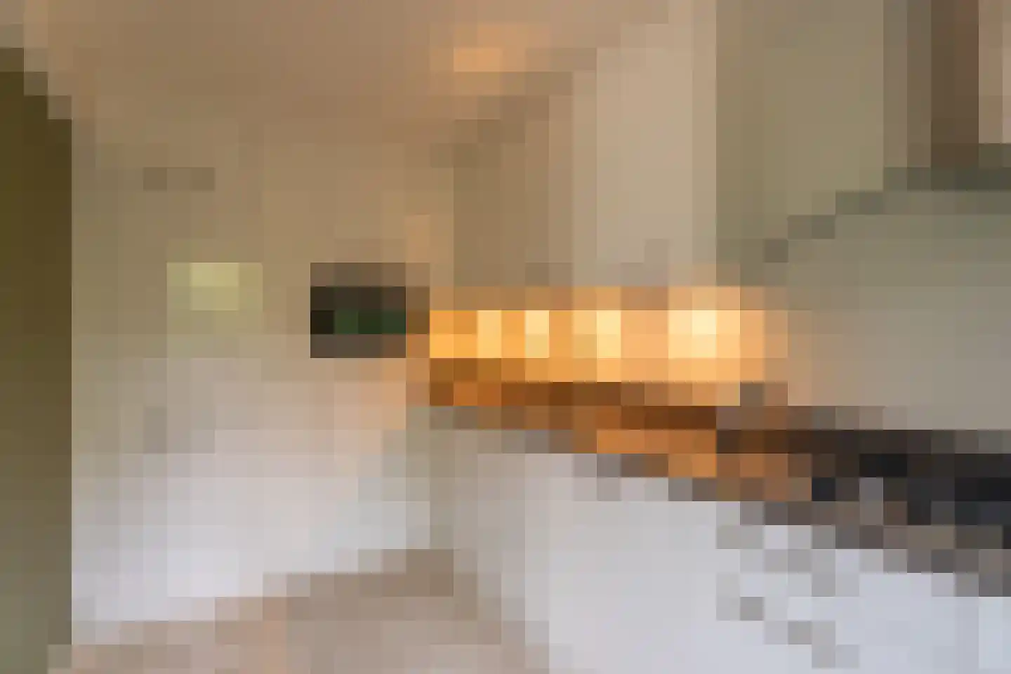 Vogelwei 1 Katwijk thumbnail 6
