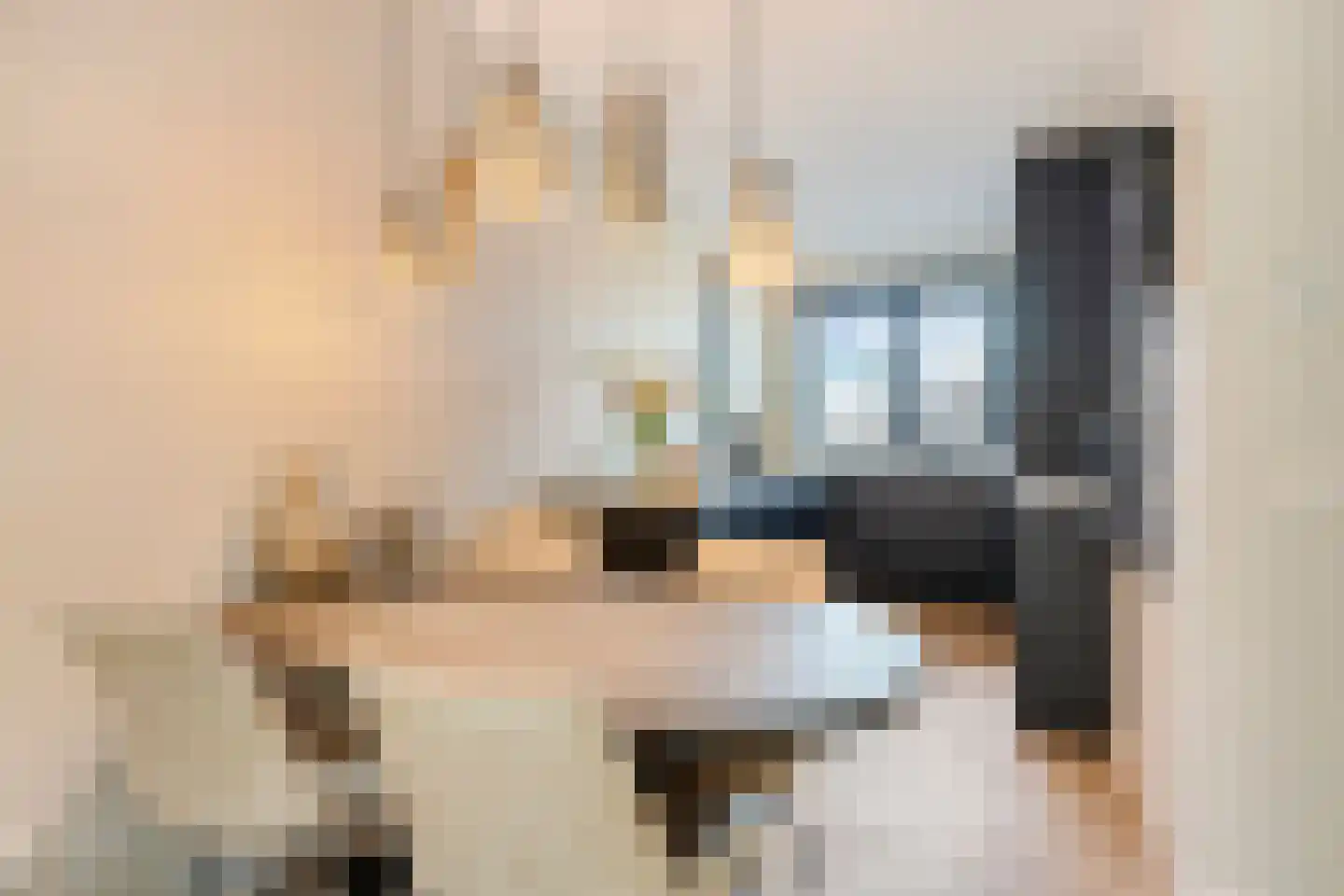 Vogelweide 1 Gemert thumbnail 11