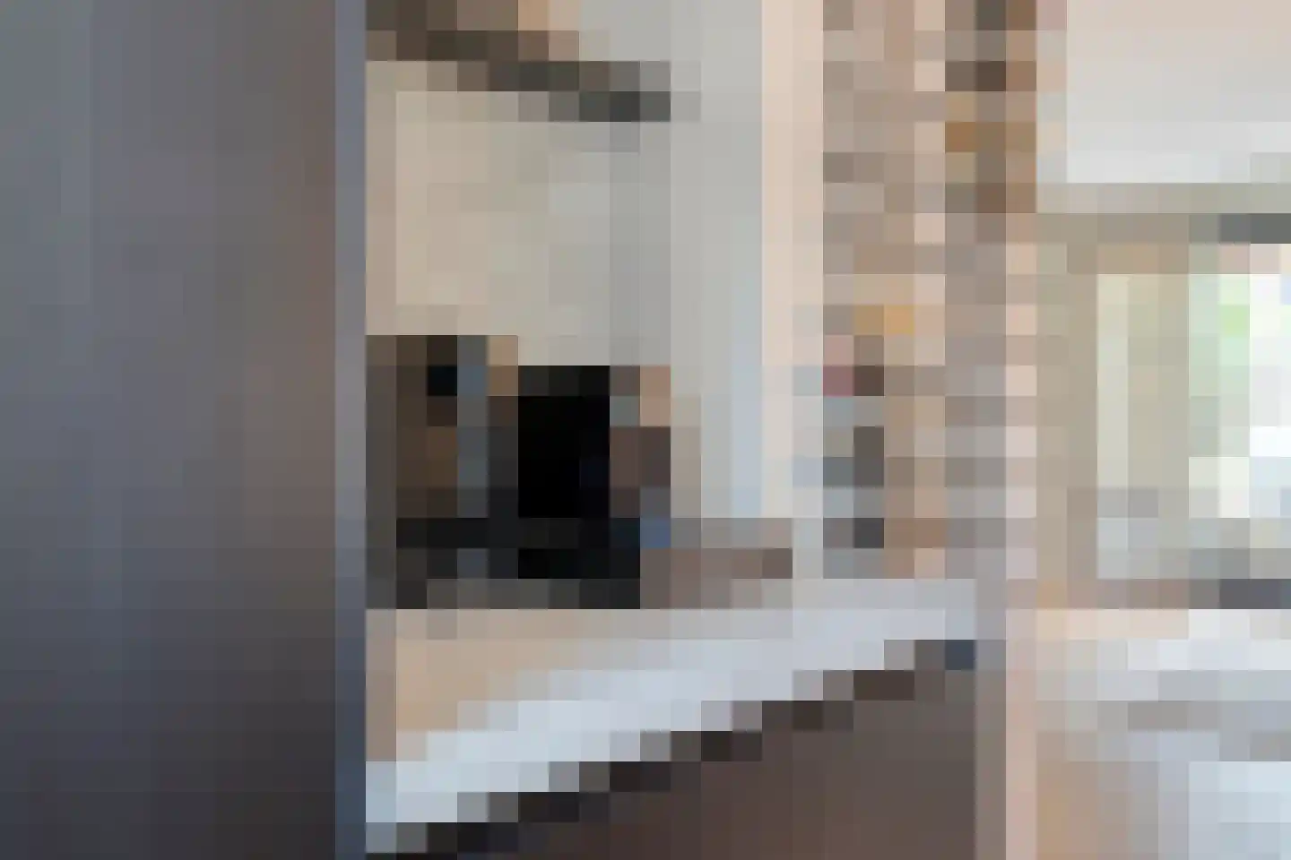 Vogelweide 1 Gemert thumbnail 15