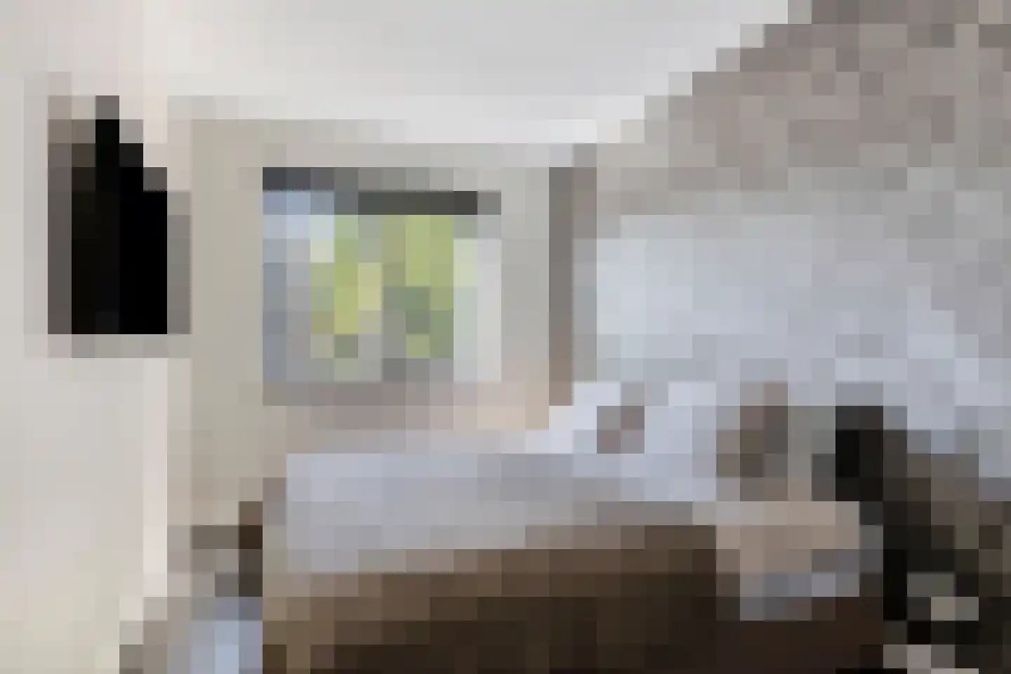 Vogelweide 1 Gemert thumbnail 19