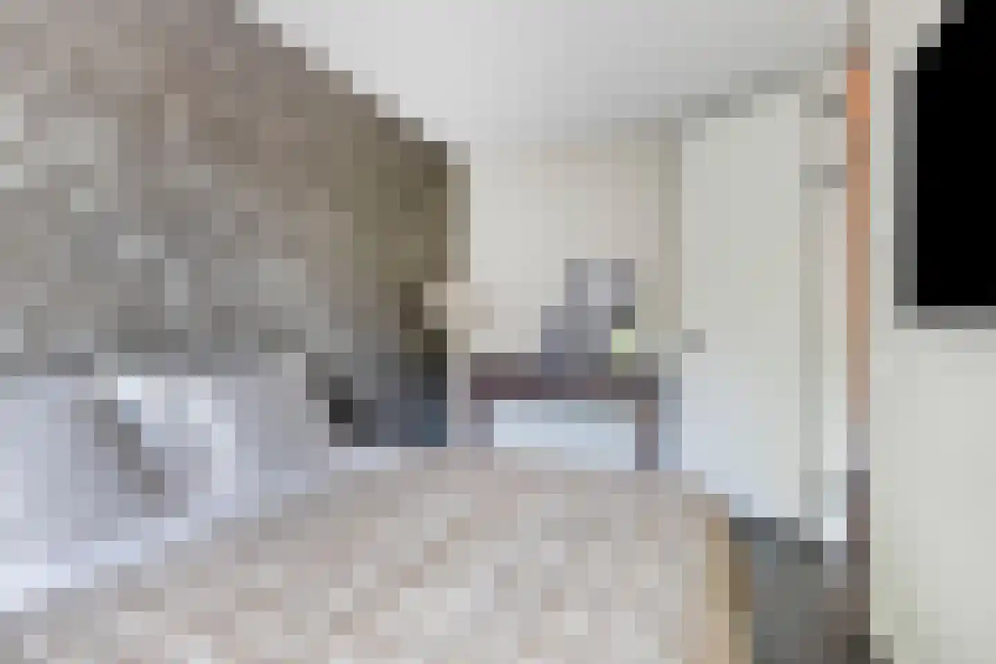 Vogelweide 1 Gemert thumbnail 20