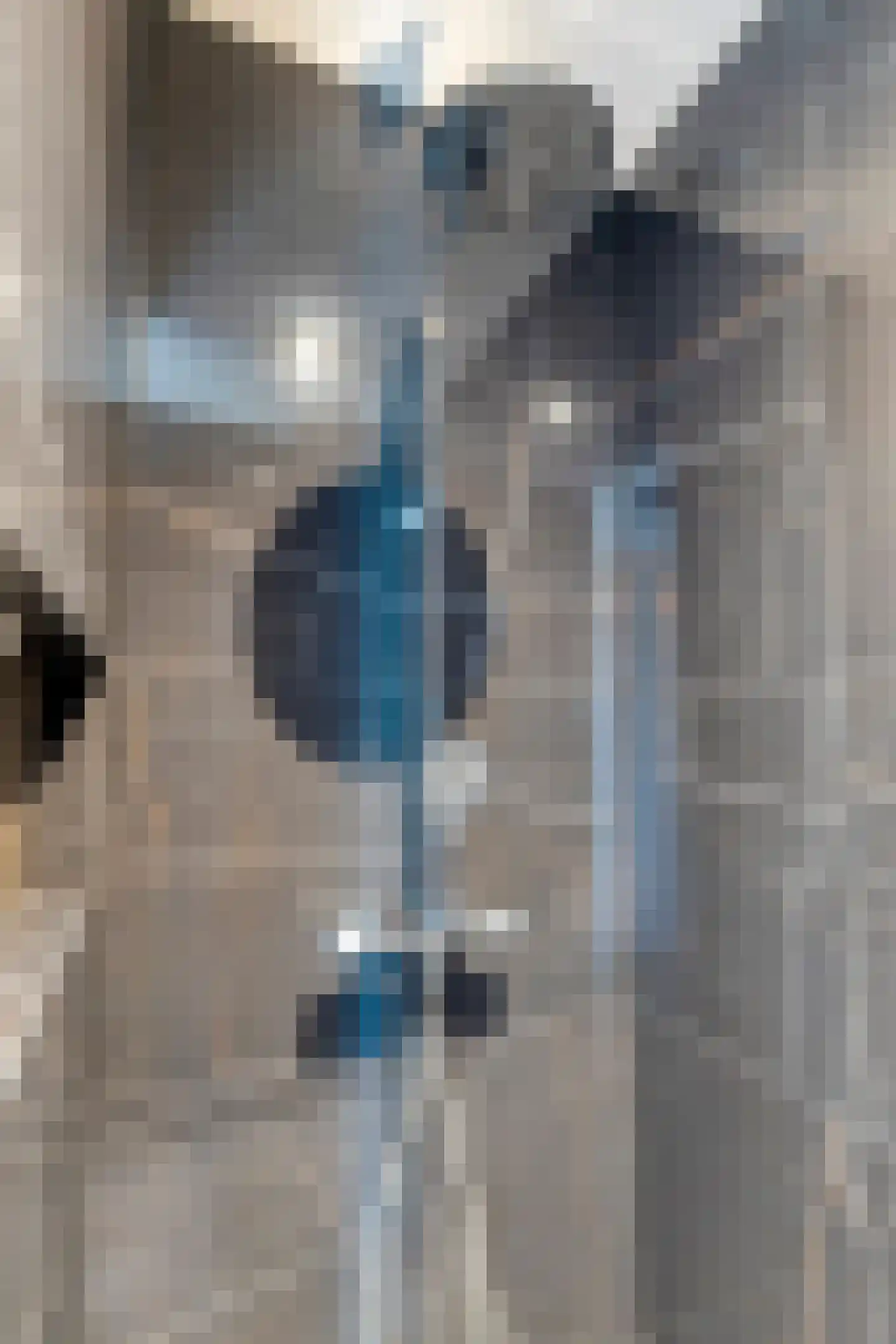 Vogelweide 1 Gemert thumbnail 23
